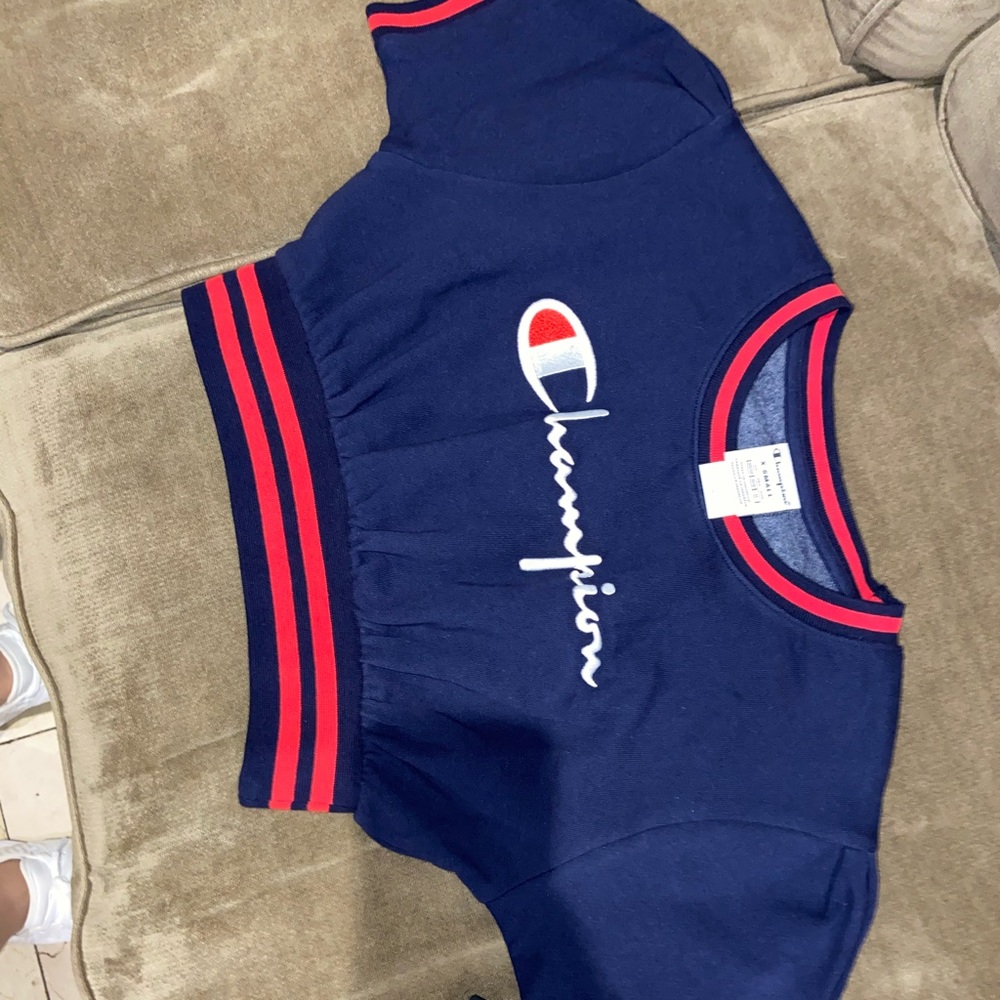 Champion vintage wash fleece cropped t-shirt
